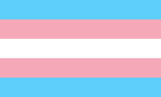 Transgender Pride-Flagge
